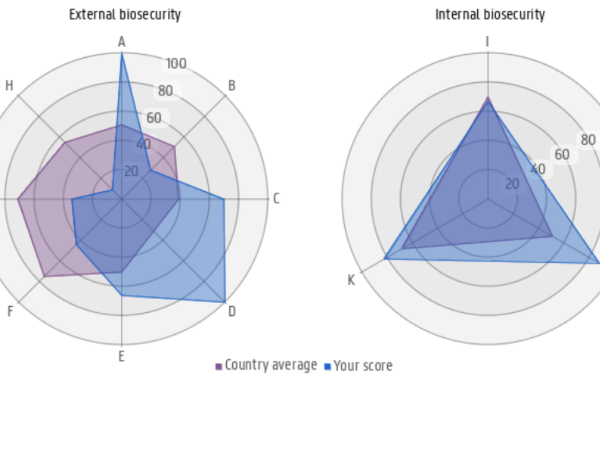 Photo of Spider plot